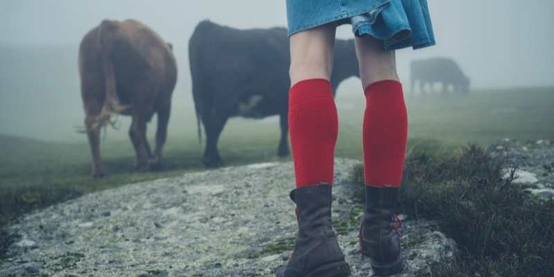 How to Choose the Right Hiking Socks for You