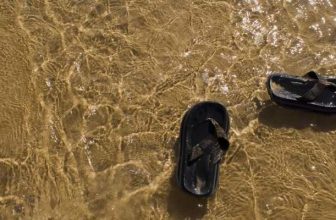 Skechers Women's Reggae-Rasta Thong Sandal